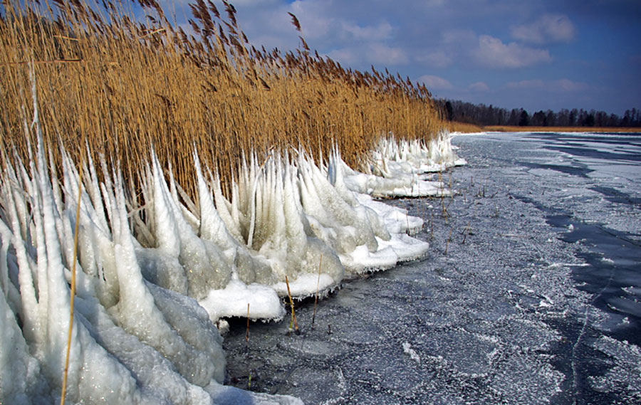 Eis an der Herreninsel