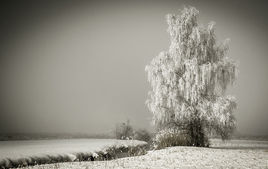 Winter in Bernau